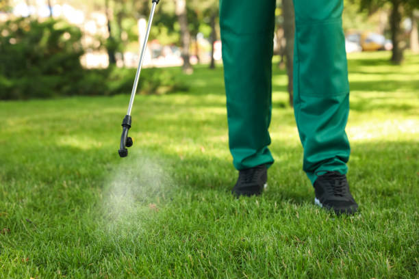 Best Residential Pest Control  in Suitland, MD