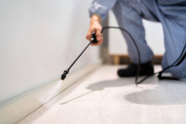 Best Commercial Pest Control Services  in Suitland, MD